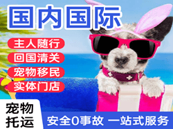 西安航空运输国际宠物托运 【国